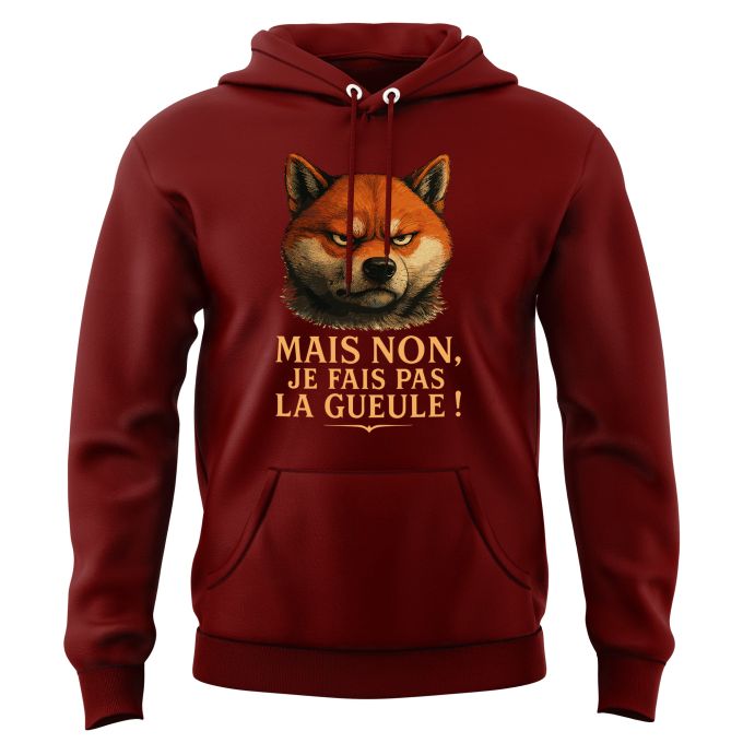Sweat-shirt à Capuche de qualité supérieure (matériau de personnalisation haut de gamme, imprimé en France)