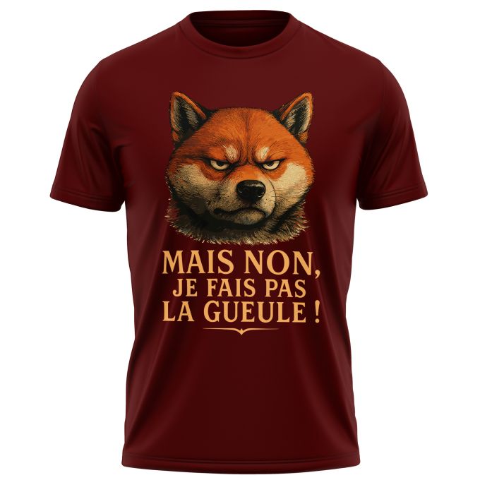 T-Shirt Homme de qualité supérieure (matériau de personnalisation haut de gamme, imprimé en France)
